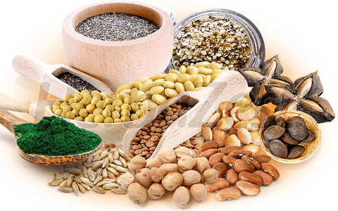 10 Best Sources of Plant-Based Protein