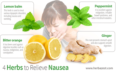 4 Herbs to Relieve Nausea
