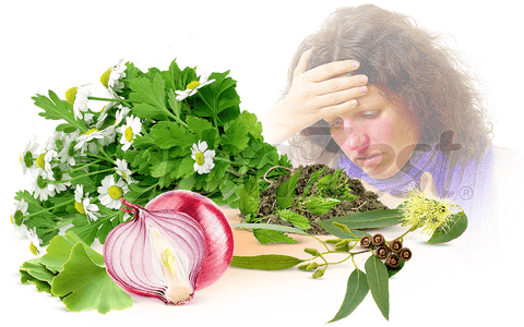5 Herbs for Treating Common Allergies