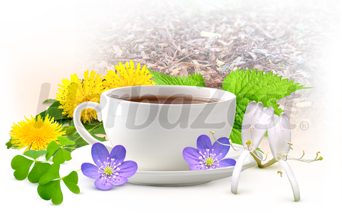 5 Invasive Herbs That Are Medicinal Powerhouses