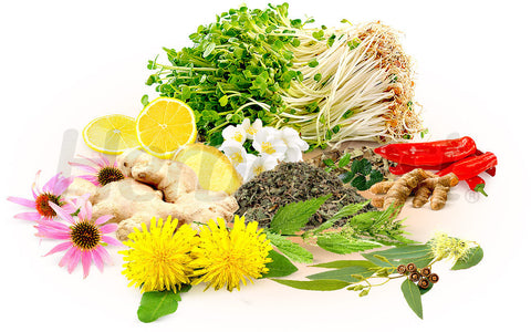 6 Great Herbal Combinations