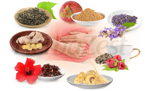 7 Herbs for Menstruation – HerbaZest
