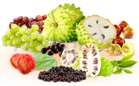 8 Antioxidant-Rich Herbs That Will Help You Stay Healthy