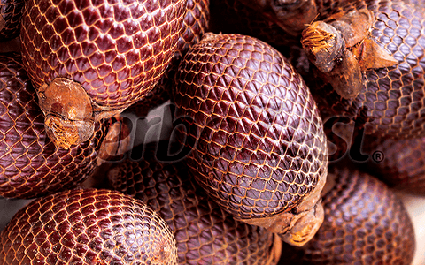Aguaje Oil Extract's Role in Cardiovascular Disease Prevention
