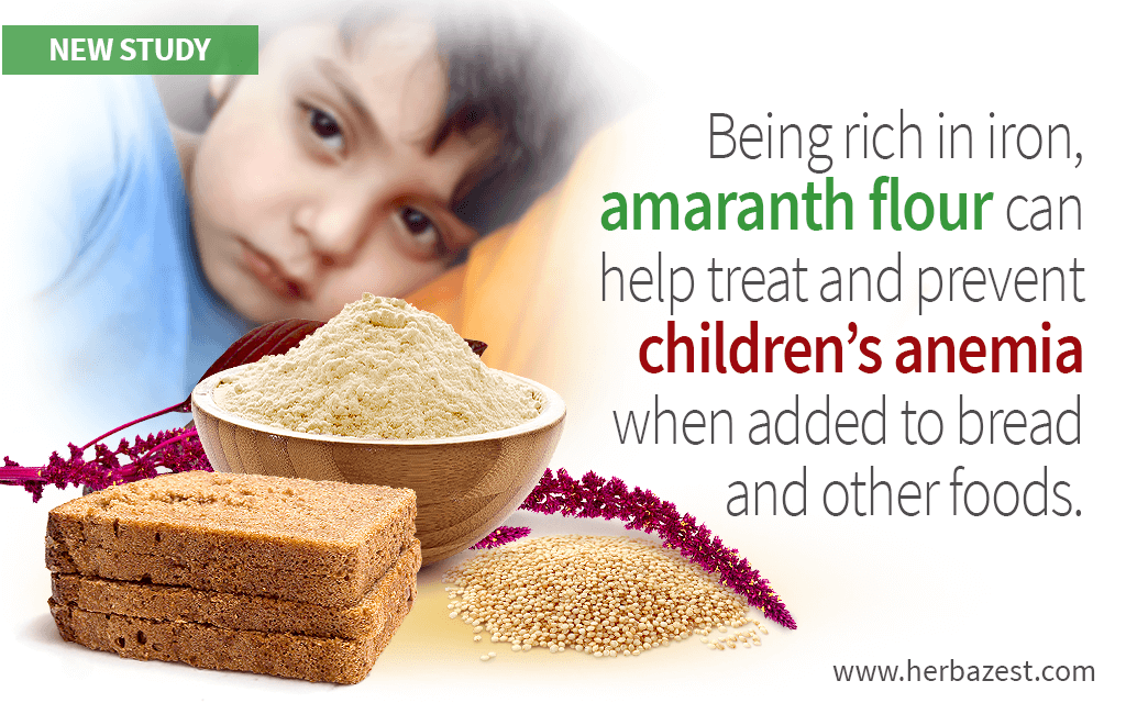 Amaranth Flour Bread Helps Reduce Anemia Prevalence in Children – HerbaZest
