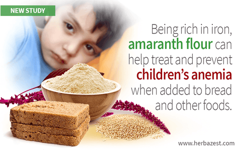 Amaranth Flour Bread Helps Reduce Anemia Prevalence in Children