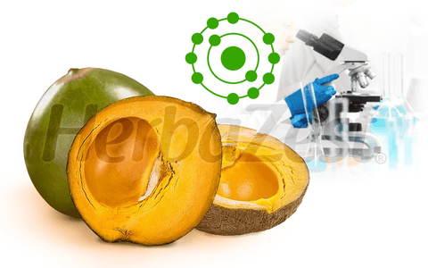 An In Vitro Study Reveals Lucuma's Beneficial Properties