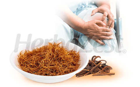 Benefits of Cat's Claw for Osteoarthritis Treatment Confirmed in a Study