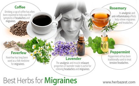 Best Herbs for Migraines
