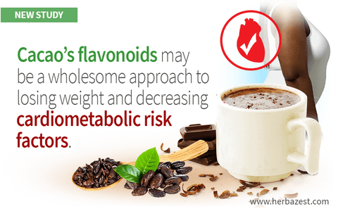 Cacao Flavonoids Reduce Various Risk Factors in Obese Adults