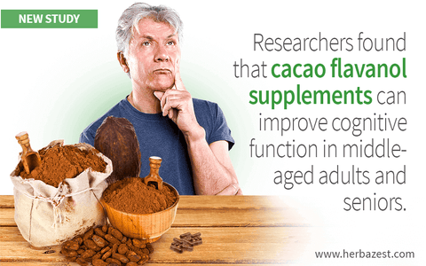 Cacao Supplements Enhance Cognitive Function in Seniors