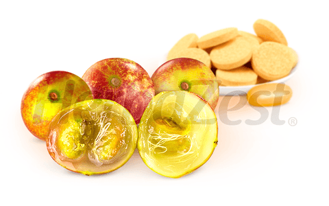 Camu Camu's Antioxidant and Anti-Inflammatory Actions Shown in a Trial