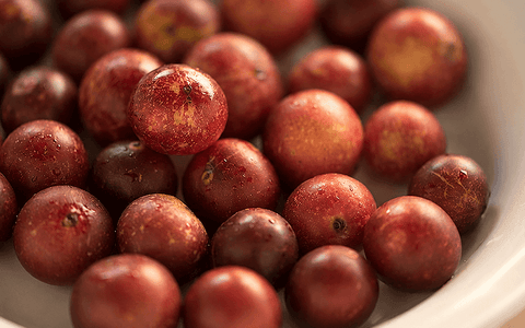 Camu Camu's Antioxidant and Anti-Inflammatory Actions Shown in a Trial