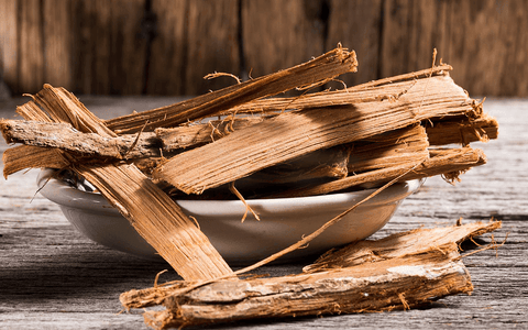Cat's Claw May Enhance Immune Function