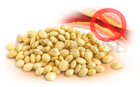 Cholesterol-Lowering Activity of Lupin Protein Identified by a Study