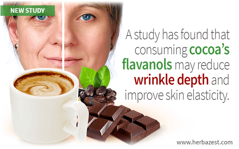 Facial Wrinkles and Elasticity Improved by Cocoa in Photo-Aged Women