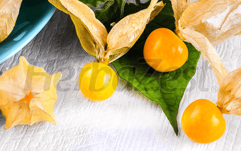 Goldenberries May Help Reduce Cardiometabolic Disease Risk