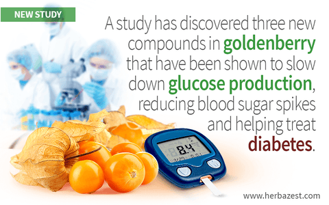 Goldenberry Antidiabetic Effects Explained by Promising Study