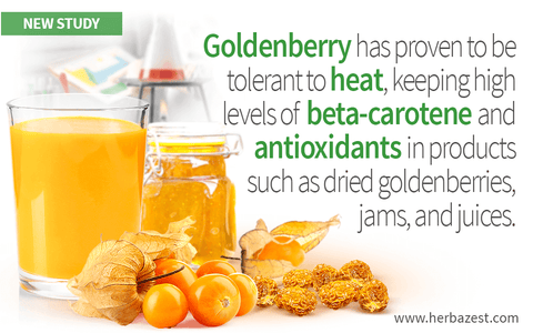 Goldenberry Health Benefits Preserved After Heat Exposure, Study Reveals