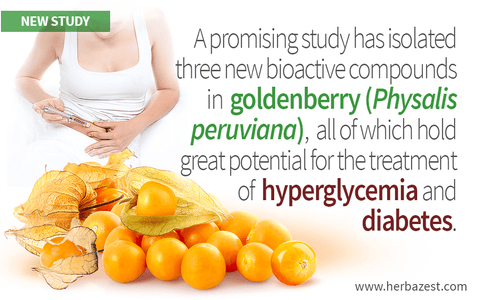 Goldenberry Hypoglycemic Compounds Identified
