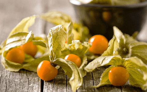 Goldenberry Juice May Have Natural Antimicrobial Properties