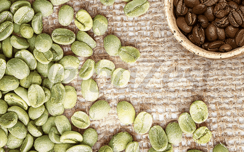 Green Coffee May Be Beneficial for Women with PCOS