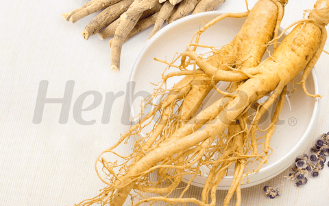 How to Increase Fertility with Herbs