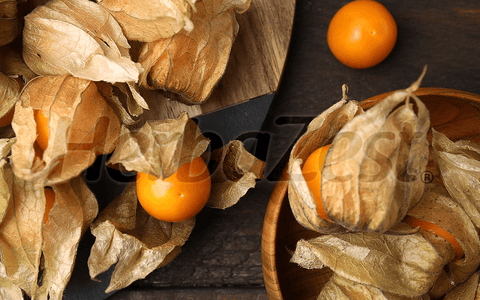 In Vitro Trial Examines Bioactive Compounds in Goldenberries