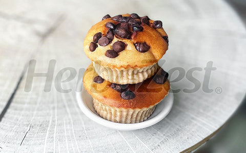 Lucuma Greek Yogurt Muffins with Chocolate Chips