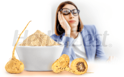 Maca Proves to Be a Natural Remedy for Fatigue