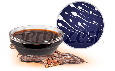Male Fertility Improved by Carob Consumption