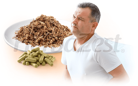 Nettle May Help Relieve Symptoms of Benign Prostatic Hyperplasia
