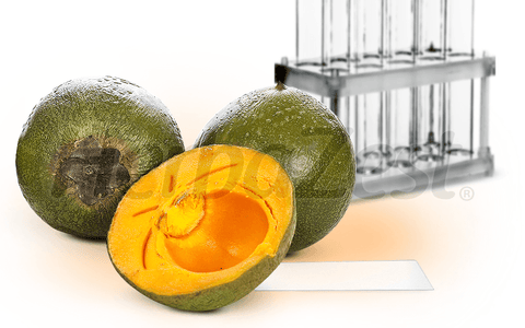 New Research Sheds More Light on Lucuma's Beneficial Compounds