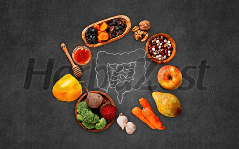 Nourishing Your Gut with Plant-Based Foods