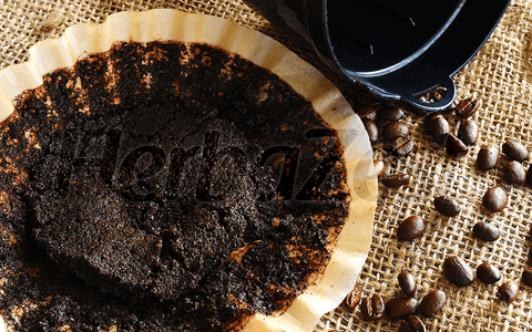 Potential Health Benefits of Coffee Grounds Uncovered