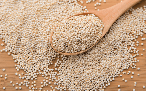 Quinoa Peptides Help Nourish the Gut, Study Finds