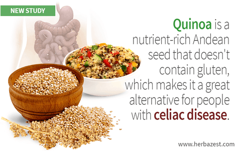 Quinoa Shown to Be Safe for Celiac Patients
