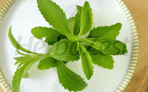 Researchers Find Stevia May Help Lower Blood Sugar Naturally