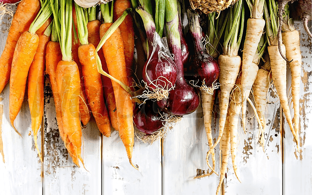 Root Vegetables: Nourishment from the Ground Up – HerbaZest