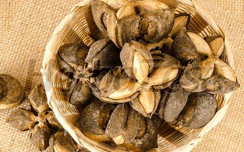 Sacha Inchi Oil May Be Used to Treat Acne