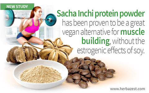 Sacha Inchi Shown as Effective as Soy for Muscle Building