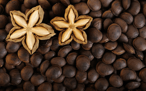 Sacha Inchi Shown as Effective as Soy for Muscle Building