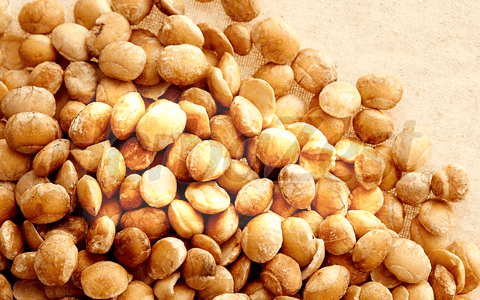 Sacha Inchi Shown to Improve Insulin Resistance