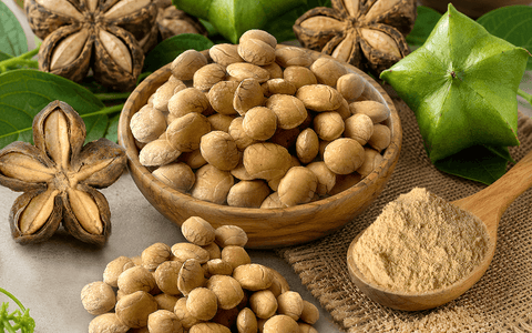 Study Explores the Functional Potential of Sacha Inchi Protein