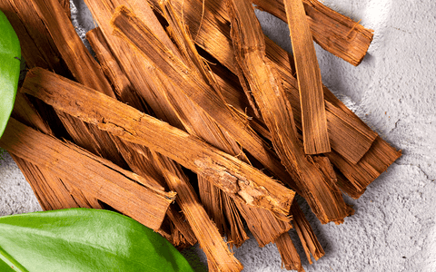 Study Finds Antiviral Activity in Cat's Claw Bark Extract
