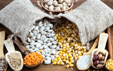 Study Highlights Pulses as Nutritious and Functional Food Ingredients