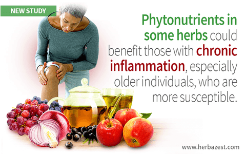 Study Identifies Potent Herbs for Reducing Inflammation