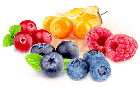 The World's Most Useful Medicinal Berries