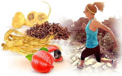 Top 4 Herbs for Athletic Performance