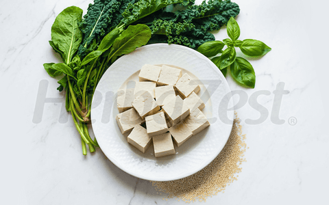 Top 4 Vegan Alternatives for Your Calcium Intake